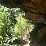 Under a rock overhang on Casuarina track (43375)