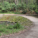 Browns Water hole causeway (64118)