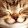 Susan Golian Susan Golian's profile photo