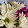 Trudi Crookshanks Trudi Crookshanks's profile photo