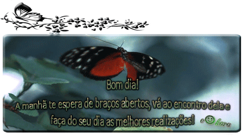 borboleta.gif