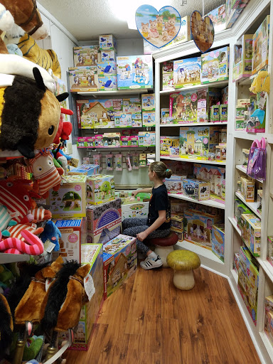Toy Store «Hollipops Inc», reviews and photos, 210 Coleman Blvd # N, Mt Pleasant, SC 29464, USA