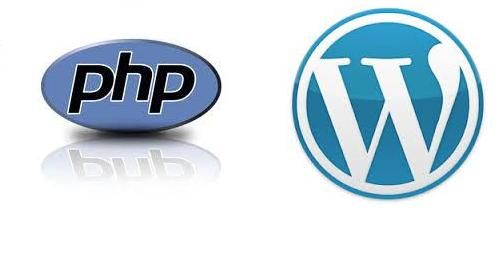 Cara Menjalankan PHP di Text Widget WordPress Tanpa Plugin