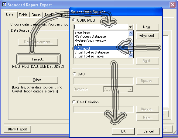 crystal Report 8.5 For Visual Basic 6.0