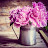 Bopta Chy avatar image
