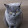 Christophe St. Jean Christophe St. Jean's profile photo