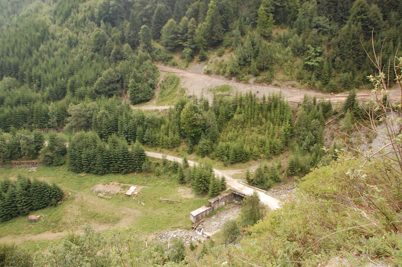 DSC_0435.JPG