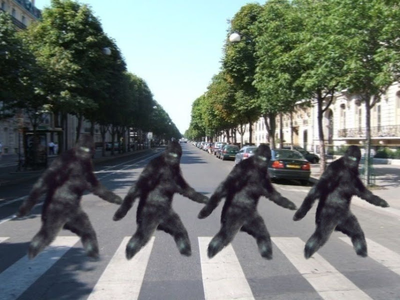 Sightings: Abbey Road Sasquatch