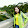 Cetty Fly Cetty Fly's profile photo