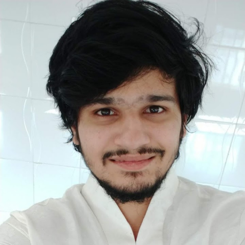 Revanth Stark review