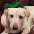 Kevin Duhe avatar image