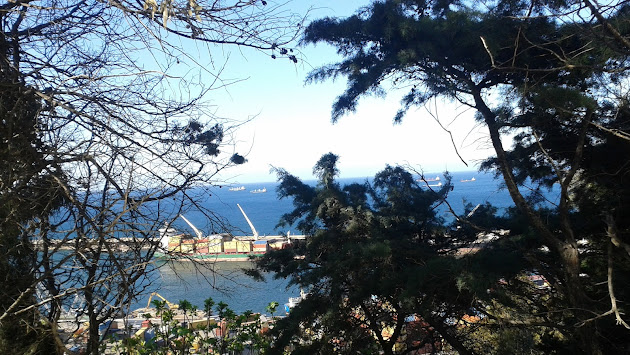 Cover photo