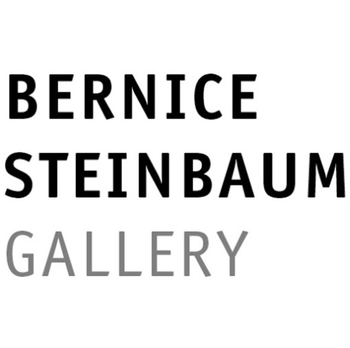 Bernice Steinbaum Gallery logo