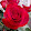 M. McGinnis M. McGinnis's profile photo