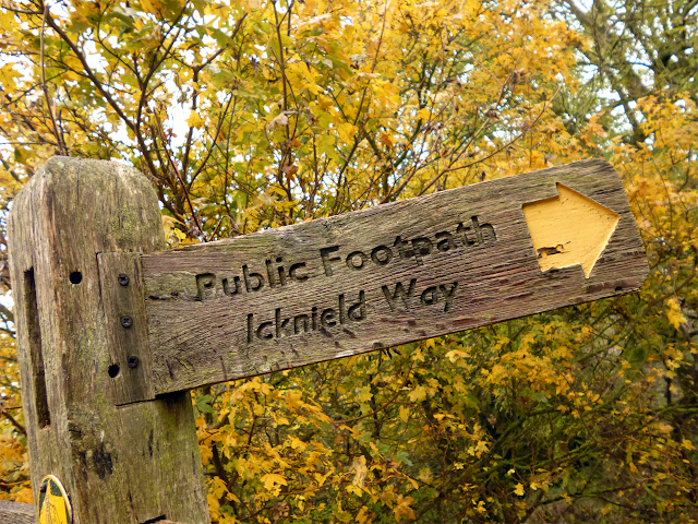 Icknield Way signpost