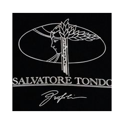 Profili di Salvatore Tondo