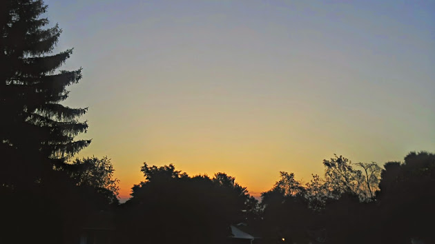 Cover photo