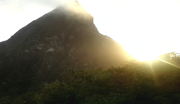 Cover photo
