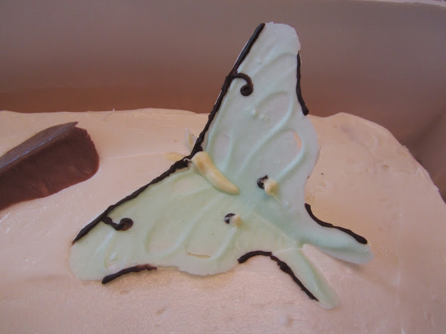 Anne's moth cake – National Moth Week