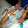 Elizabeth Barten Elizabeth Barten's profile photo