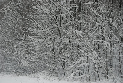 snowy michigan winter