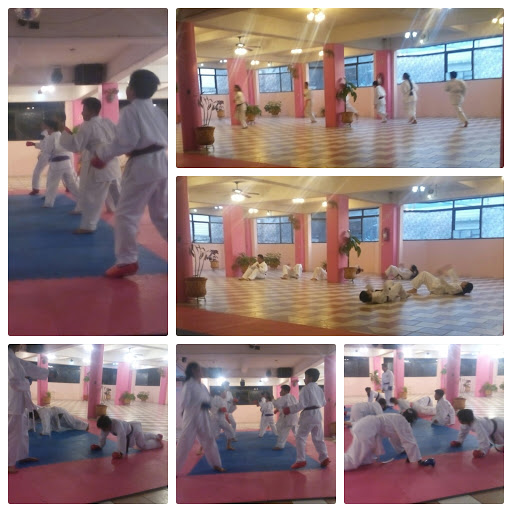 Ocelotcalli Dojo Naucalpan Karate-Do, Av 18 de Marzo, Lomas de la Cañada, 53530 Naucalpan de Juárez, Méx., México, Escuela de karate | EDOMEX