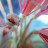 joseph Gattuso avatar image