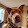 Steve Beal Steve Beal's profile photo