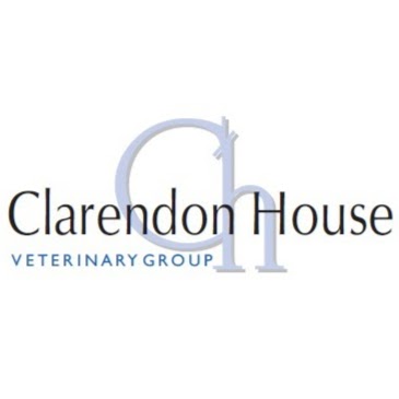 Clarendon House Veterinary Group - Chelmsford
