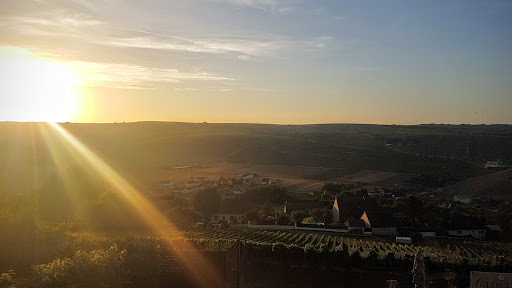 Le Panoramic Hôtel