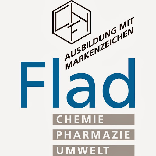 Institut Dr. Flad logo