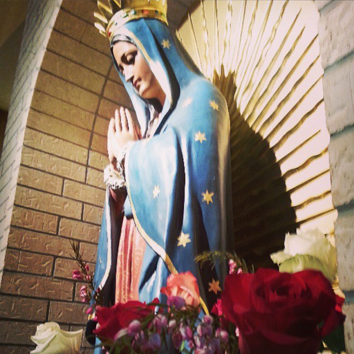 Our Lady of Guadalupe Catholic Church & Shrine logo