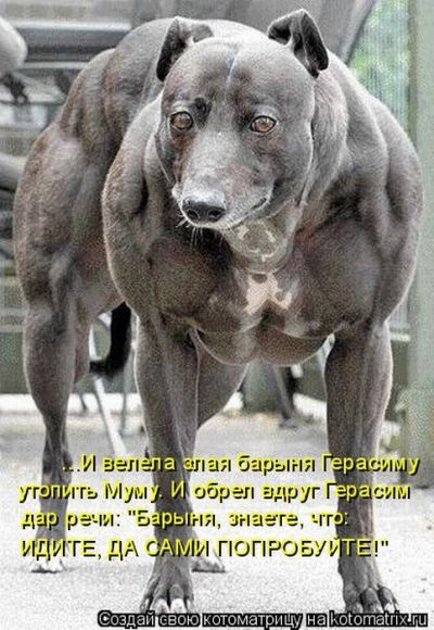 Ни дня без улыбки. Афоризмы от Александр Дюма (сын) Ни дня без улыбки. Афоризмы от Александр Дюма (сын)