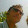 Andrea Corcione Andrea Corcione's profile photo