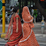 Saris, Delhi