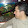 bob kurdieh bob kurdieh's profile photo