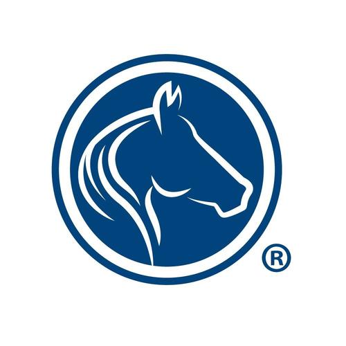 The Goddard School of Highlands Ranch logo