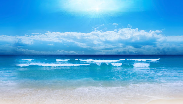 Cover photo