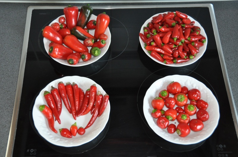 201008211805540136.JPG