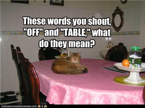 photo of a cat laying on a dining room table