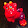 Roman P. Roman P.'s profile photo