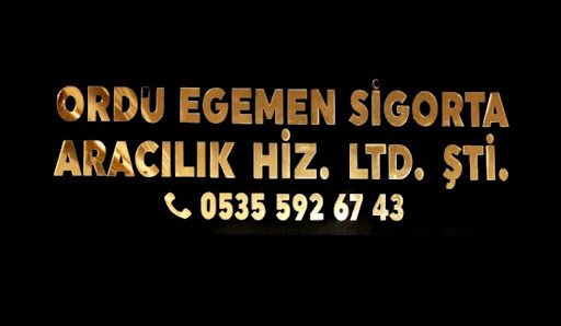 ORDU EGEMEN SİGORTA ARACILIK HİZMETLERİ LTD.ŞTİ. logo
