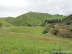 Views along Nortonville Trail