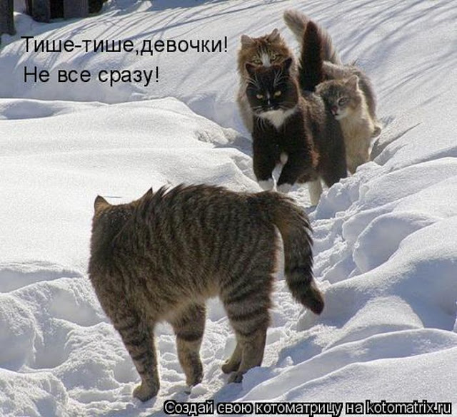 Ни дня без улыбки. Если ваш мужчина… Ни дня без улыбки. Если ваш мужчина…