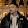 Roberto D'Alterio Roberto D'Alterio's profile photo