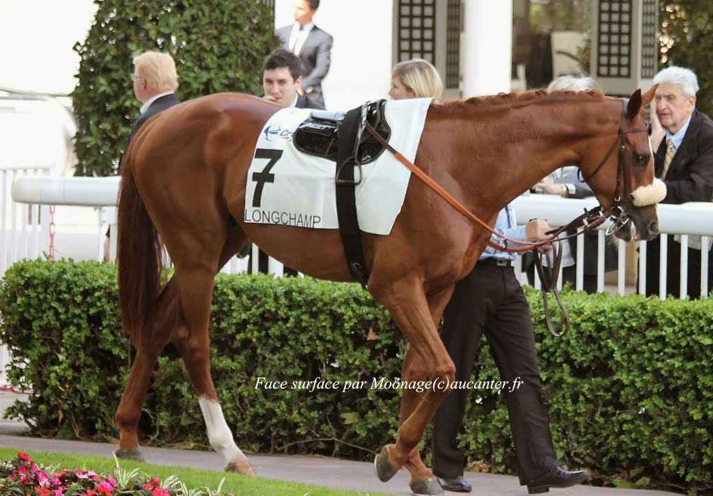 Photos Longchamp 25-05-2014 IMG_1130