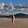 Thomas Petersen Thomas Petersen's profile photo