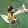 Zach Wilson Zach Wilson's profile photo