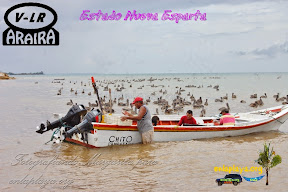 Playas de Margarita enlaplaya.org Bruno Berroteran, Araira