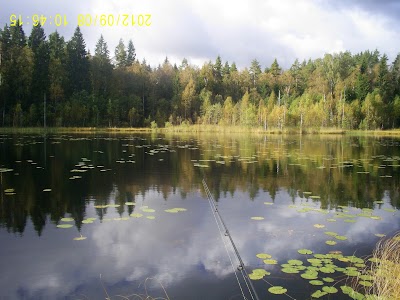 Photos of Natural monument Yastrebinoe Lake